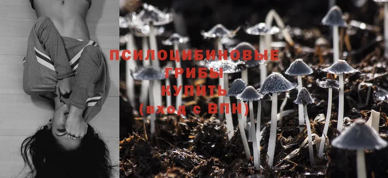 Галлюциногенные грибы Magic Shrooms  hydra вход  Иланский 